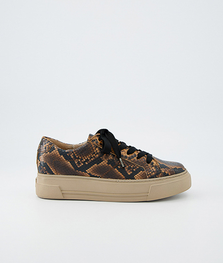 Sneaker Paul Green 5469-058 in marrone