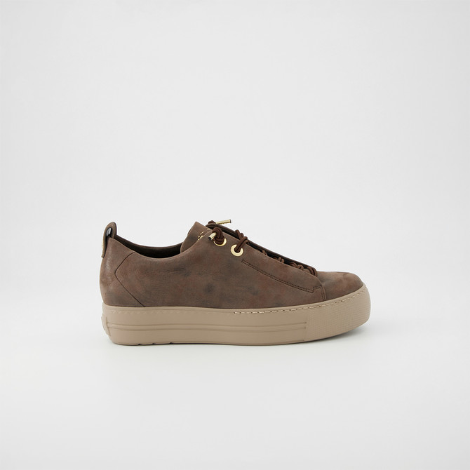 Paul Green 5017-500 - Brown